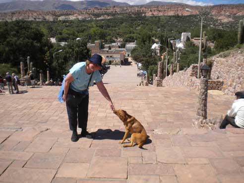 2010, Humahuaca, Jujuy Province, Argentina, and another new canine friend.